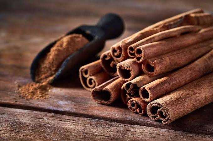 Cinnamon Plants — Browse 1 varieties